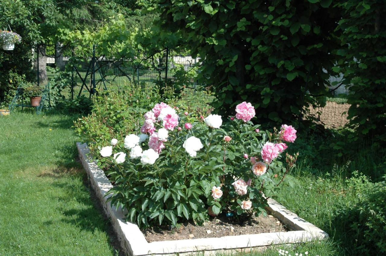 Le Jardin De Roses Dominique Loreau Saint Bonnet de Mure Bagian luar foto